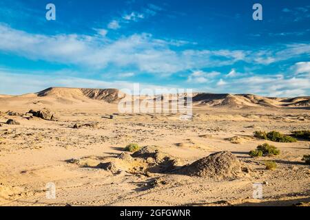 The Sahara desert along the coast of the Red Sea, Egypt, Africa . Yellow sand and blue sky. Stock Photo