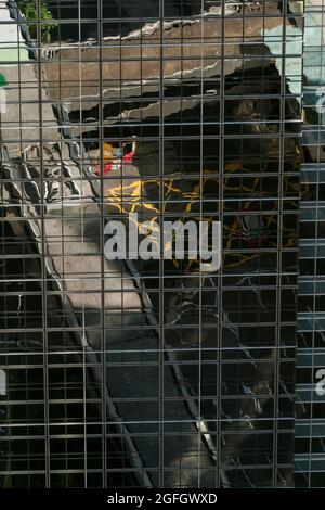 Part of the Central Elevated Walkway system and Connaught Road reflected in the windows of Chater House, Central, Hong Kong Island Stock Photo