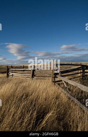 Fallen fence rails fall and leaning posts show the ravages of time on this old corral. Stock Photo
