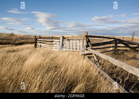 Fallen fence rails and leaning posts show the ravages of time on this old corral, near Cut Bank Creek, Blackfeet Indian Reservation, MT. Stock Photo