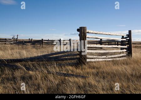 Fallen fence rails and leaning posts show the ravages of time on this old corral, near Cut Bank Creek, Blackfeet Indian Reservation, MT. Stock Photo