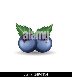 blueberry fruit realistic vector illustration isolated design on white background Stock Vector