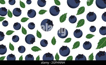 blueberry fruit seamless pattern on white background. blueberry background with leaves Stock Vector