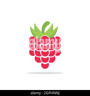 raspberry fruit flat style isolated design. vector illustration icon Stock Vector