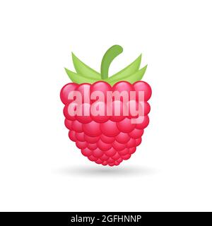 raspberry fruit realistic vector illustration, raspberry isolated design Stock Vector