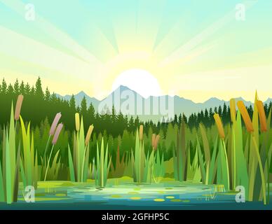 Landscape with a swampy shore of a lake or river. Coast is overgrown with grass, reeds and cattails. Sunrise from behind the mountains. Water with wat Stock Vector