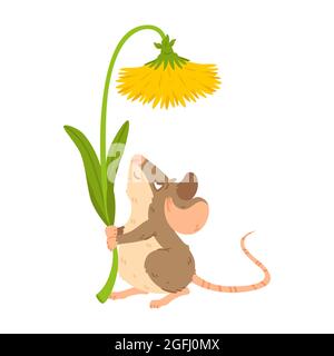 Little forest mouse holding dandelion. Meadow vole with flower. Rat keep blossom. Vector character isolated illustration on white background. Stock Vector