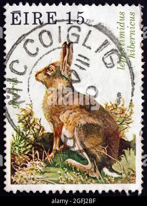 IRELAND - CIRCA 1980: A stamp printed in Ireland shows Irish Mountain Hare, Lepus Timidus Hibernicus, circa 1980 Stock Photo