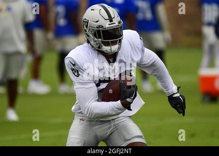 Las Vegas Raiders guard Richie Incognito (64) during training camp on  Wednesday, Aug 18, 2021, in Thousand Oaks, Calif. (Dylan Stewart/Image of  Sport Stock Photo - Alamy