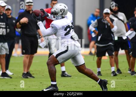 Las Vegas Raiders guard Richie Incognito (64) during training camp on  Wednesday, Aug 18, 2021, in Thousand Oaks, Calif. (Dylan Stewart/Image of  Sport Stock Photo - Alamy