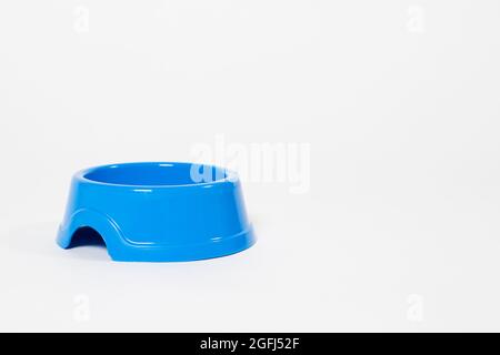 Empty blue food plate for animal feed on a white background isolate with space for text for the pet shop Stock Photo