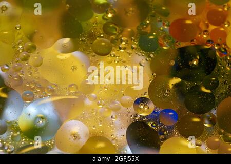floating in the water abstract colorful oil drops Stock Photo
