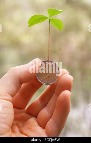 Plant growing from coin. Coin held in hand. Euro coin. Green economy. Stock Photo
