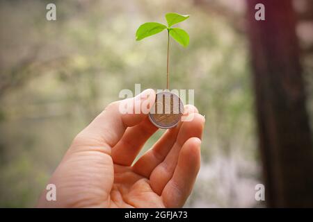Plant growing from coin. Coin held in hand. Euro coin. Green economy. Stock Photo