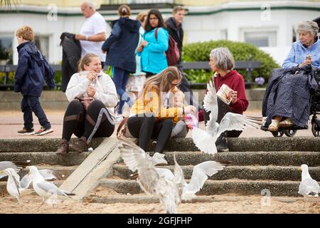 Llandudno coastal town in north Wales, seagulls annoying tourists Stock Photo