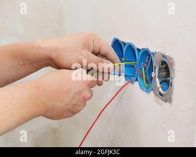 An electrician is installing a new multiple socket electrical outlet installing the wires, cable in the junction box. Stock Photo