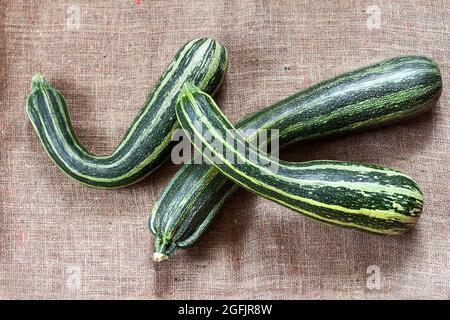 Fresh striped zucchini on sackcloth background. Flat lay, top view. Rustic style Stock Photo
