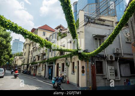 Shanghai, Shanghai, China. 26th Aug, 2021. On August 26, 2021, on both sides of Jiangyin Road in Huangpu District, Shanghai, there are mostly two-story Shikumen Lane houses. There are a lot of green vines along the outer wall of the street, which is nothing special at first glance. Observing carefully, these green leaves are actually simulated leaves with some wires that cannot be hidden inside. Compared with the black wires, this decoration looks much more beautiful. Visual pollution of various overhead lines in old communities is often difficult to deal with. However, in the blocks of Stock Photo