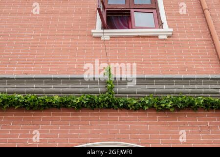 Shanghai, Shanghai, China. 26th Aug, 2021. On August 26, 2021, on both sides of Jiangyin Road in Huangpu District, Shanghai, there are mostly two-story Shikumen Lane houses. There are a lot of green vines along the outer wall of the street, which is nothing special at first glance. Observing carefully, these green leaves are actually simulated leaves with some wires that cannot be hidden inside. Compared with the black wires, this decoration looks much more beautiful. Visual pollution of various overhead lines in old communities is often difficult to deal with. However, in the blocks of Stock Photo