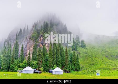 Yili, Yili, China. 26th Aug, 2021. Tangbula Valley, Nileke County, Ili Kazakh Autonomous Prefecture, Xinjiang. (Credit Image: © SIPA Asia via ZUMA Press Wire) Credit: ZUMA Press, Inc./Alamy Live News Stock Photo