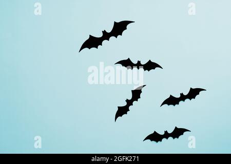 Happy halloween holiday concept. Halloween bats on blue background. Halloween party greeting card. Flat lay, top view, overhead. Stock Photo