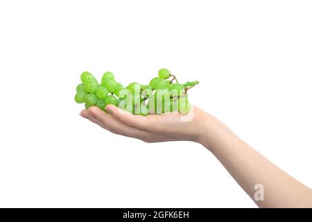 Green grape in female hand isolated on white background Stock Photo