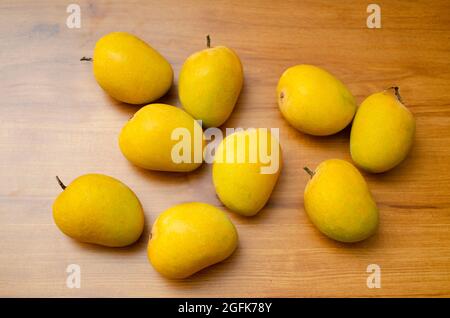Bunch of 9 Alphonso ripe yellow mangoes on table. Studion shot Stock Photo