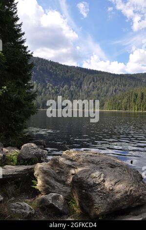 View over the Großer Arbersee in the Bavarian Forest Stock Photo