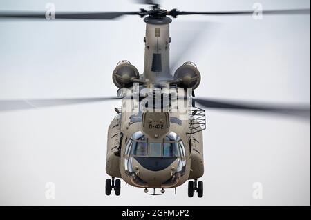 A Boeing CH-47F Chinook transport helicopter of the Royal Netherlands Air Force training at the GLV5 low flying aera. Stock Photo