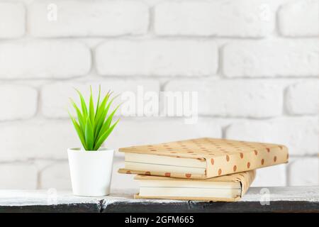 House plants in pots on white table at white brick wall with objects Stock Photo