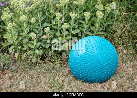 heavy rubber slam ball filled with sand on a backyard, exercise and fitness concept Stock Photo