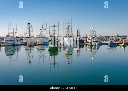 San Diego, CA - Nov 18, 2018: Tuna and sportfishing boats in Tuna Harbor await another active day on the Pacific Ocean. Stock Photo