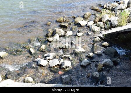 small river ending in the Rhine Stock Photo
