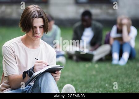 Student writing on notebook near blurred friends on lawn Stock Photo