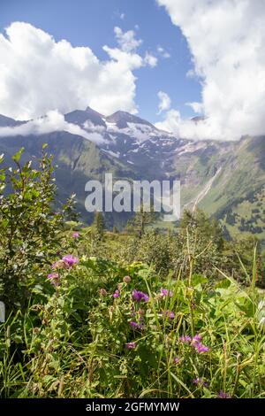 area at the Grossglockner alpine road Stock Photo