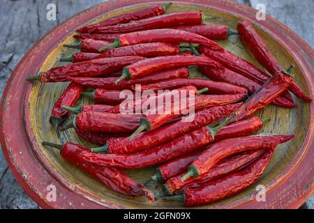 Italian long red peppers drying on earthenware plate Stock Photo