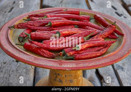 Italian long red peppers drying on earthenware plate Stock Photo