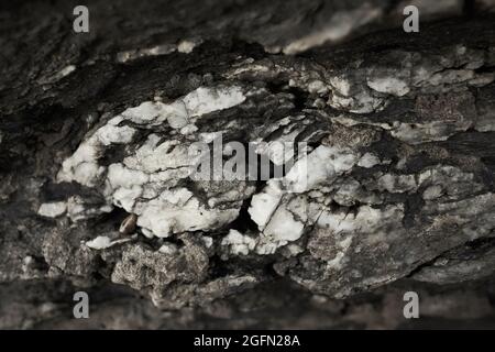Marble texture background floor decorative stone interior. natural pattern of marble background, Surface rock stone with a pattern of E Stock Photo