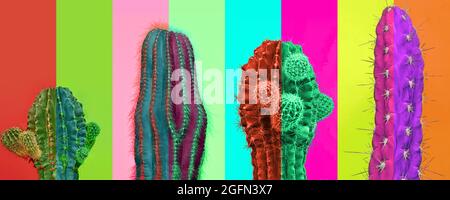 Contemporary art collage. Bright vibrant colors. Horizontal composition with multicolored cactus, cacti isolated over colored background Stock Photo