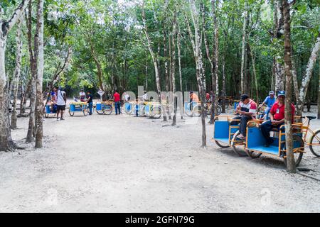 COBA, MEXICO - MARCH 1, 2016: Pedi-trikes bicycle taxi riders wait for tourists at the ruins of the Mayan city Coba, Mexico Stock Photo