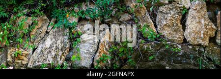 Wall made of big rough stones. Rough stones panorama. Suitable for header or banner. Panoramic still with wild rocks and climbing plants. Stock Photo
