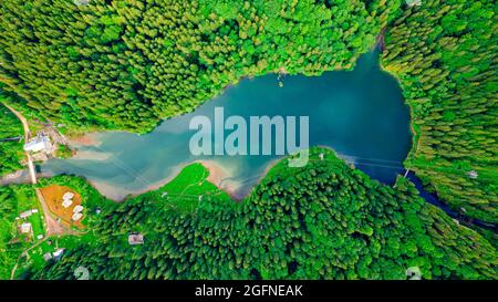 Birds eye view of a lake in the mountains surrounded by a green pine forest. Photo shot from a drone at higher altitude with camera pointing down. Stock Photo