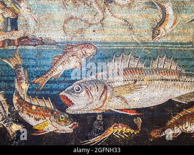 Marine life Mosaic emblema in opus vermiculatum made from polychrome tesserae.  Pompeii, Casa del Fauno (House of the Faun) - Late 2nd century - Early 1st century AD Stock Photo
