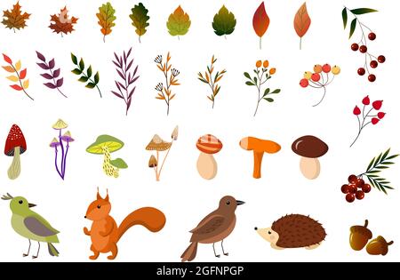 Set of multicolored autumn leaves and berries, squirrel, hedgehog, and bird. Autumn illustration. Stock Vector