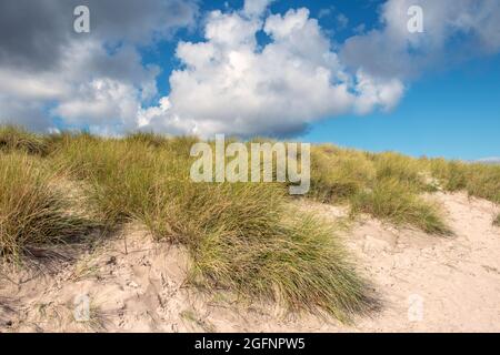 Sand dunes beneath a blue sky with white clouds Stock Photo