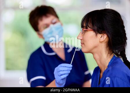 Nurse PCR testing Stock Photo