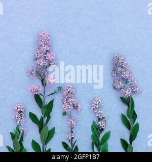 Card with pink wildflowers on blue background with copy space Stock Photo