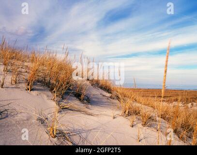 Crane Beach sand dunes in Ipswich, Massachusetts Stock Photo