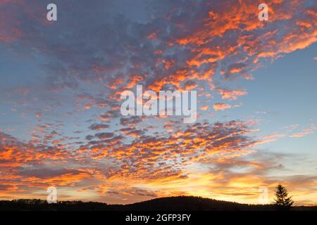 Afterglow, sky with altocumulus clouds Stock Photo