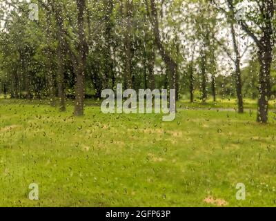 Raindrops on the glass, and outside the window a blurred background of the park. Stock Photo